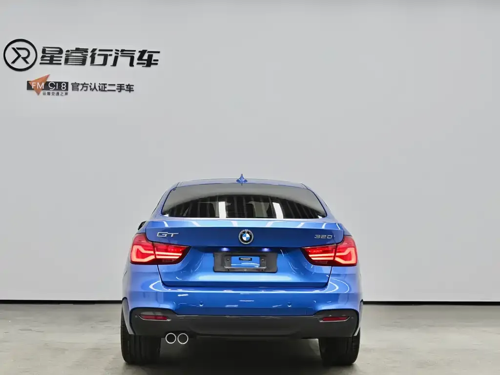 BMW 3 Series GT 2021 из CN, фото 3