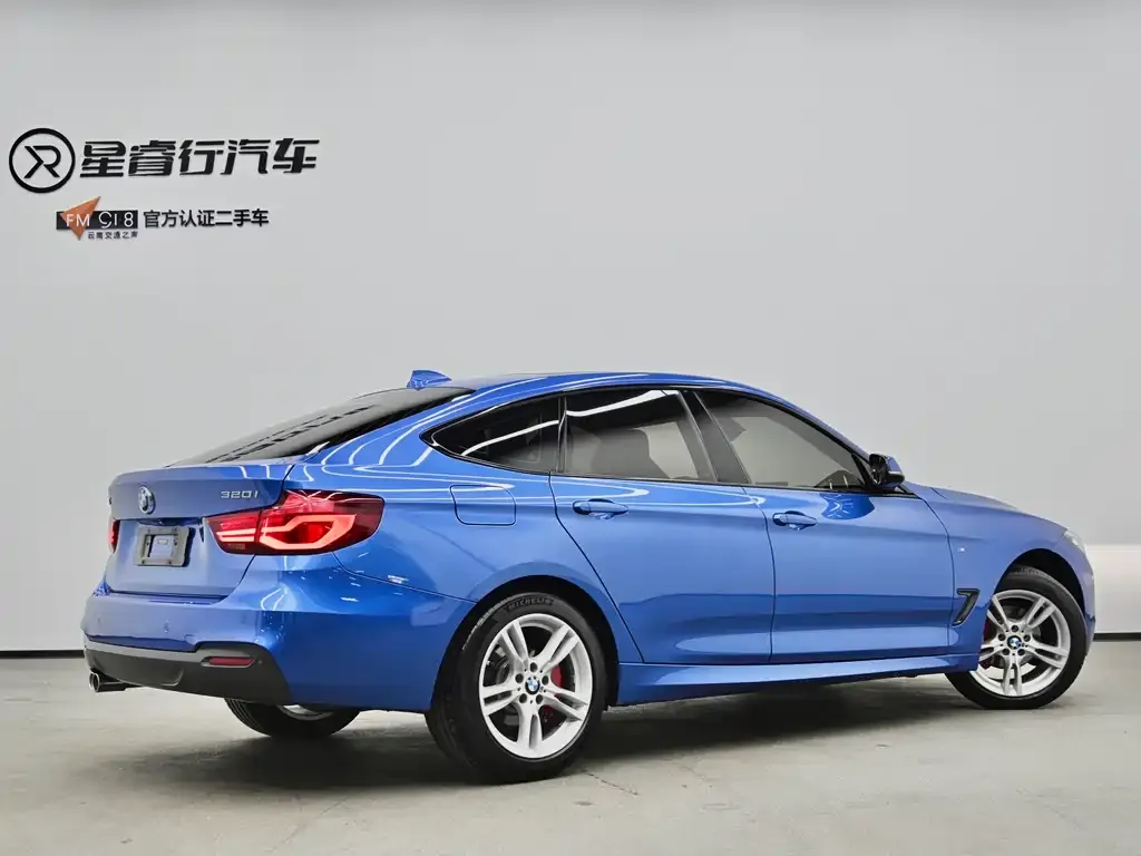 BMW 3 Series GT 2021 из CN, фото 9