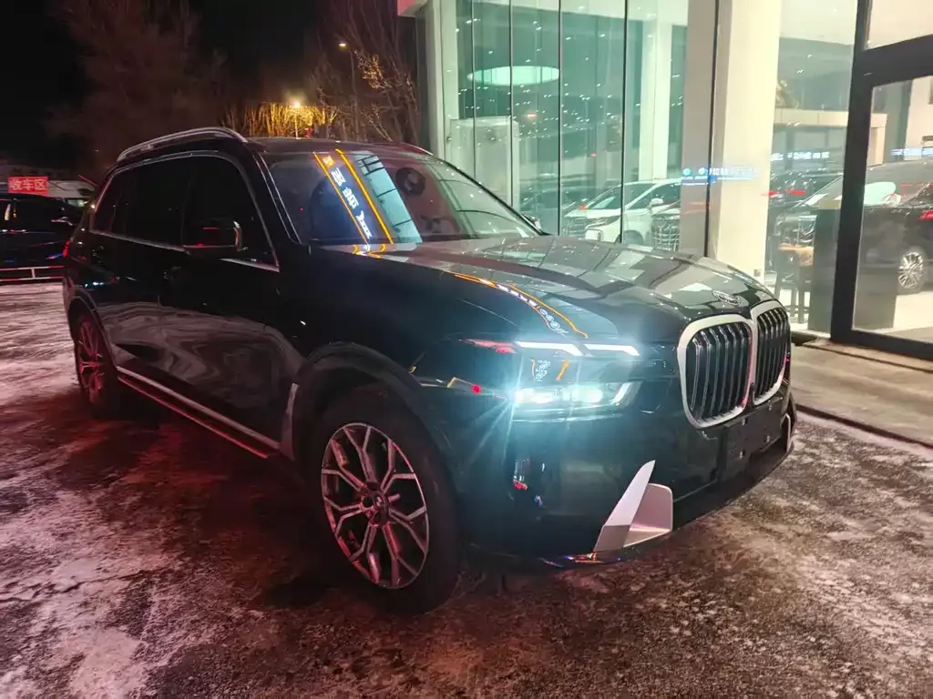 BMW X7 — фото 4
