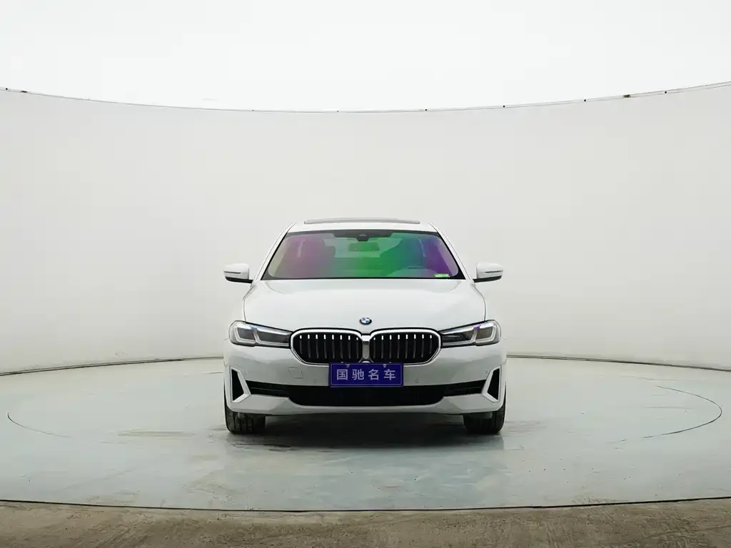 BMW 5 Series 2021 из CN, фото 3