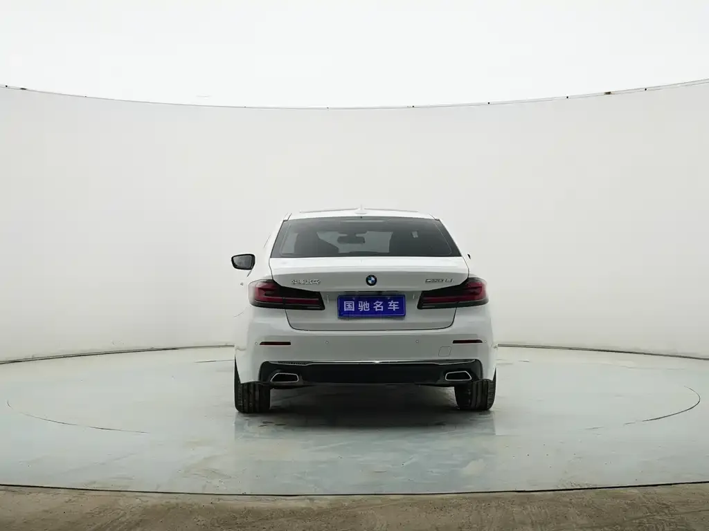 BMW 5 Series 2021 из CN, фото 2