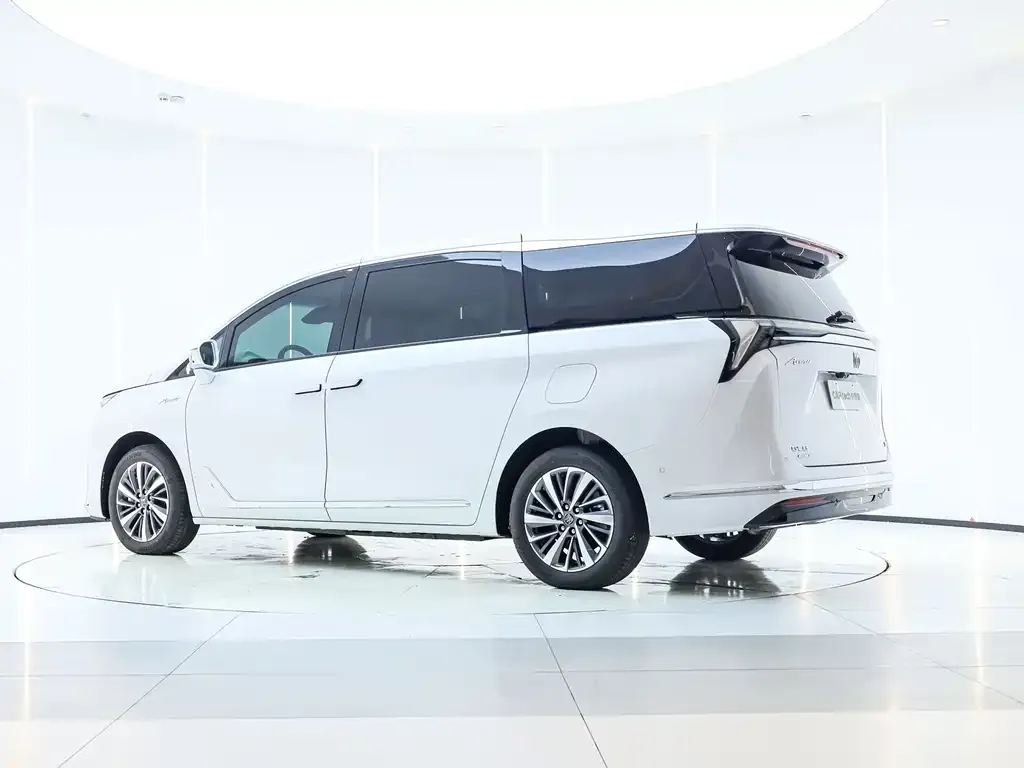 Buick GL8 Hybrid — фото 7