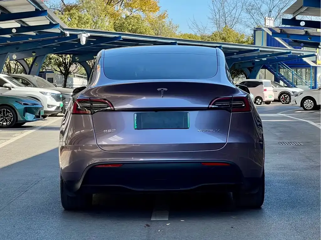 Tesla Model Y — фото 9