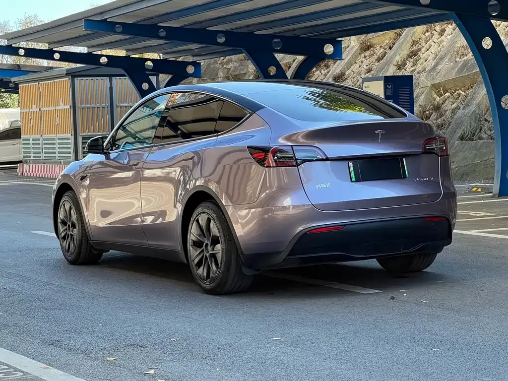 Tesla Model Y — фото 8