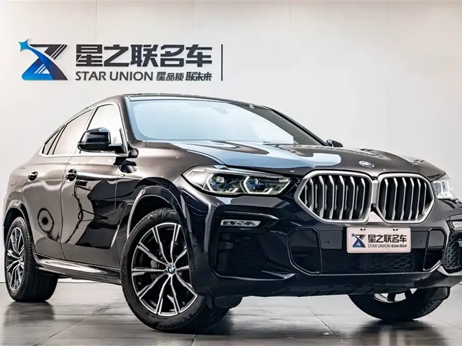 BMW X6 — фото 9