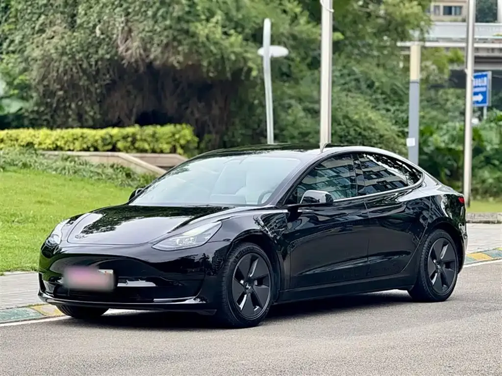Tesla Model 3 2021 из CN, фото 1