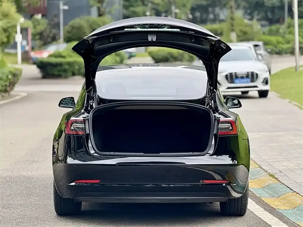Tesla Model 3 2021 из CN, фото 10
