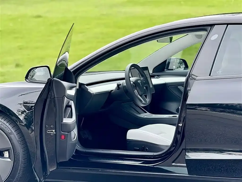 Tesla Model 3 2021 из CN, фото 8