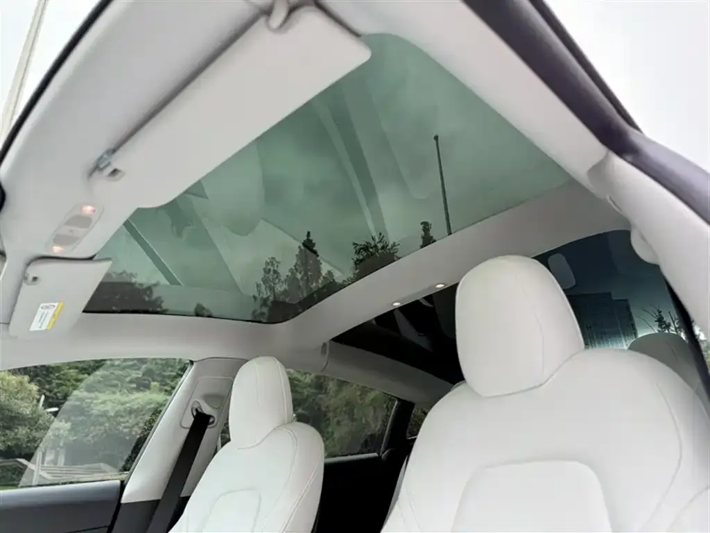 Tesla Model 3 2021 из CN, фото 9