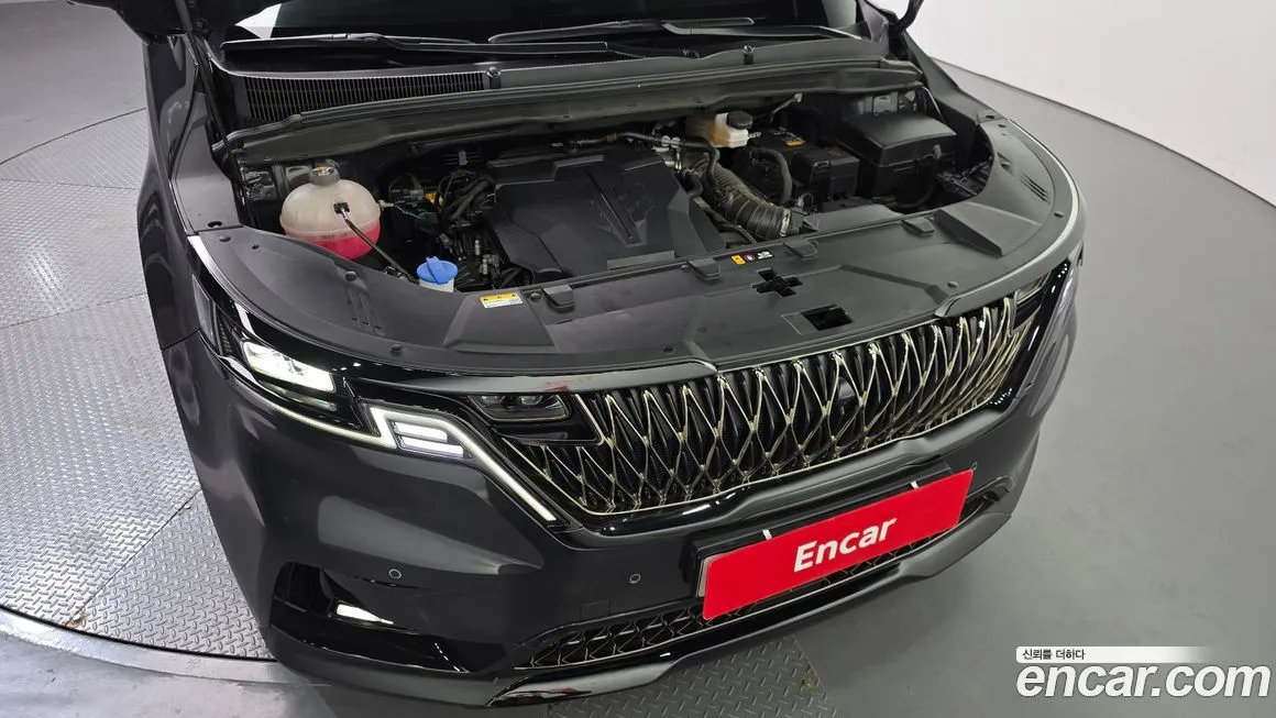 [object Object] Canival 2023 из KR, фото 6