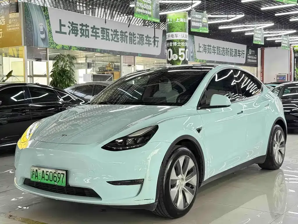 Tesla Model Y 2021 из CN, фото 1