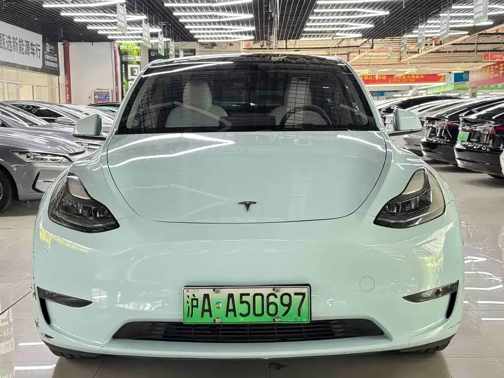 Tesla Model Y 2021 из CN, фото 2