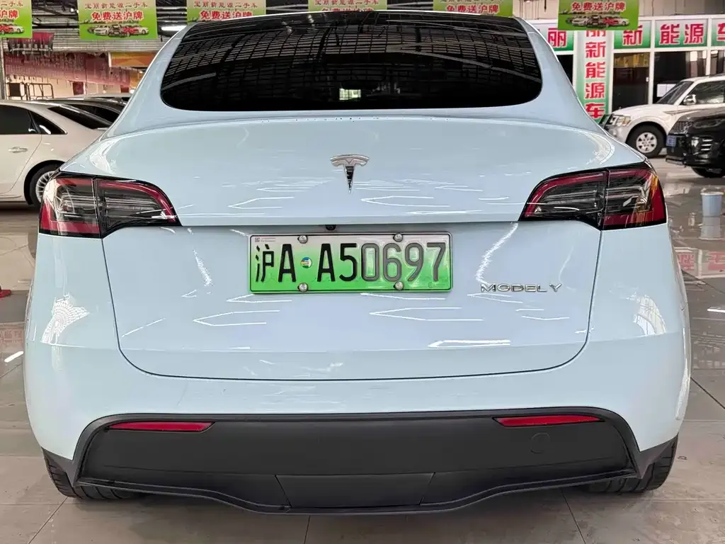 Tesla Model Y 2021 из CN, фото 3