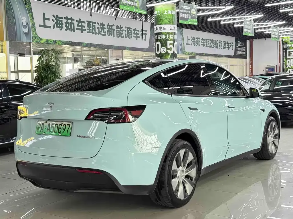 Tesla Model Y 2021 из CN, фото 4