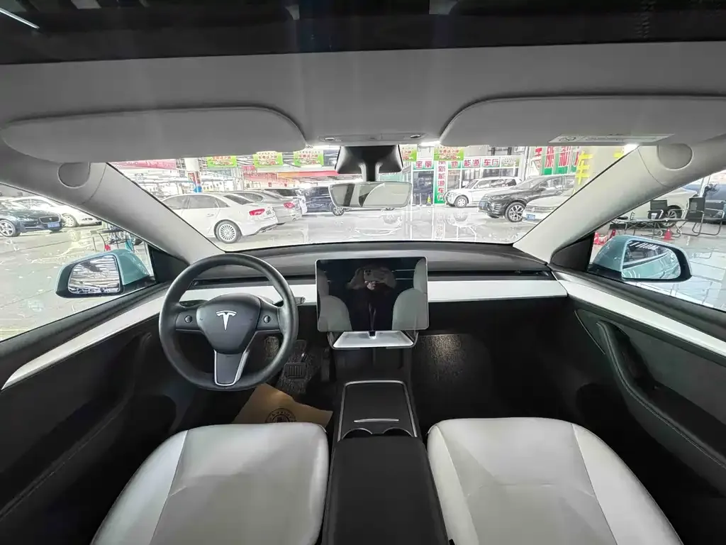 Tesla Model Y 2021 из CN, фото 5
