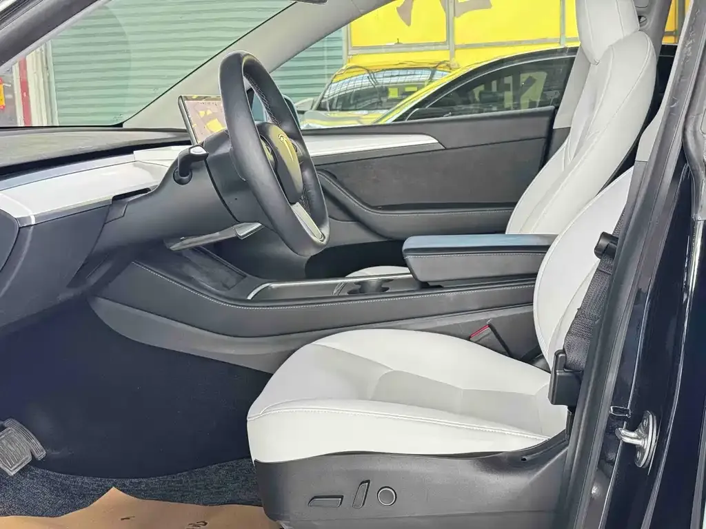 Tesla Model Y 2021 из CN, фото 6