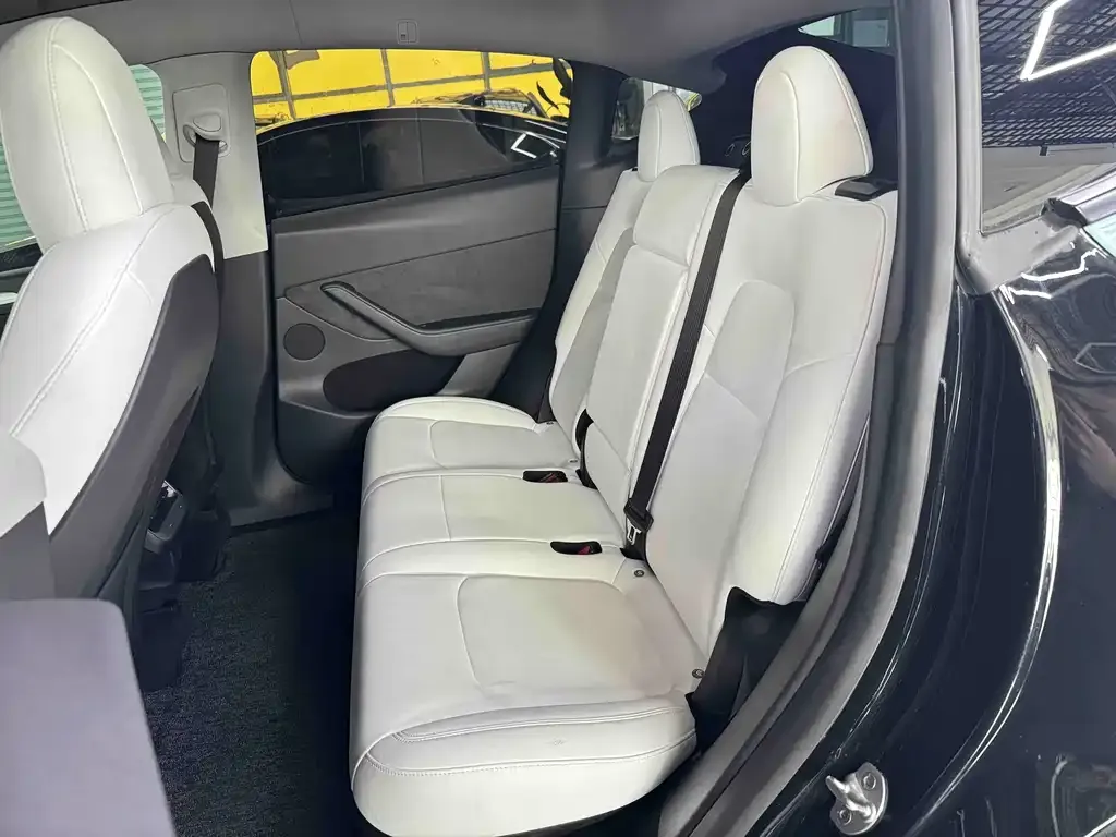 Tesla Model Y 2021 из CN, фото 8