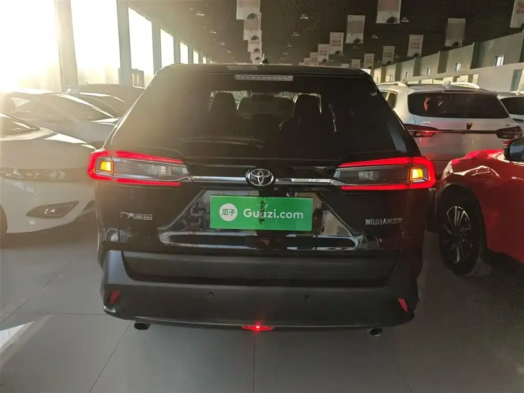 Toyota Wildlander 2024 из CN, фото 6