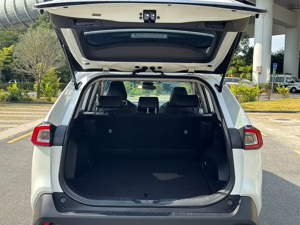 Toyota Wildlander 2023 из CN, фото 9