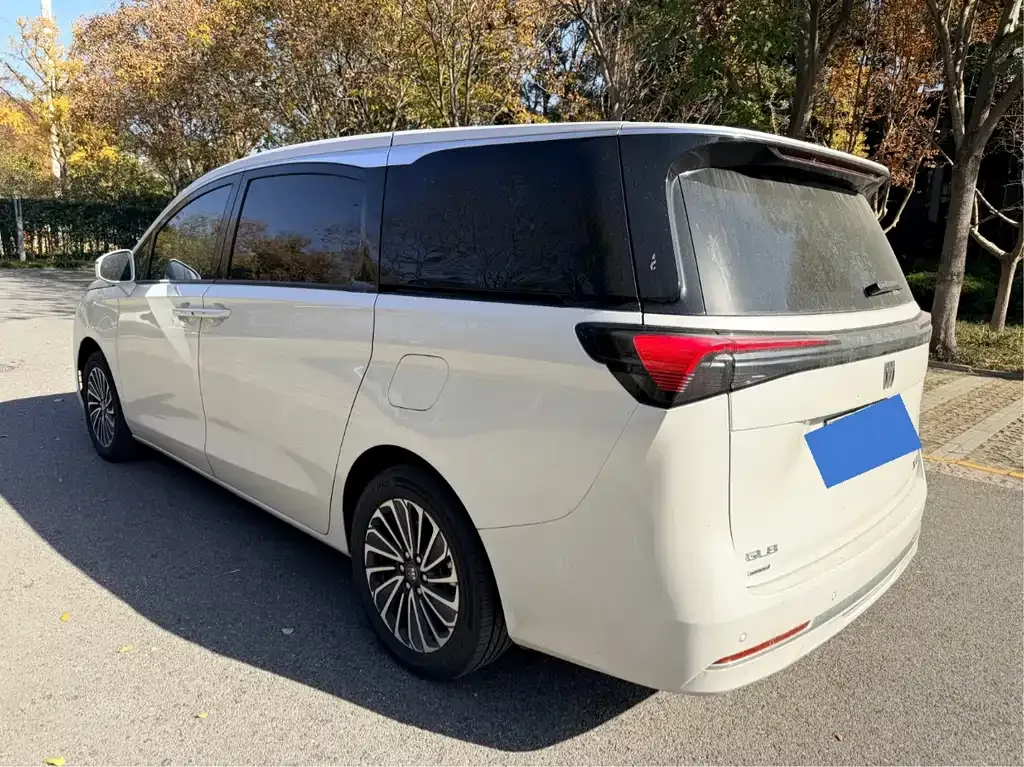 Buick GL8 Hybrid — фото 10