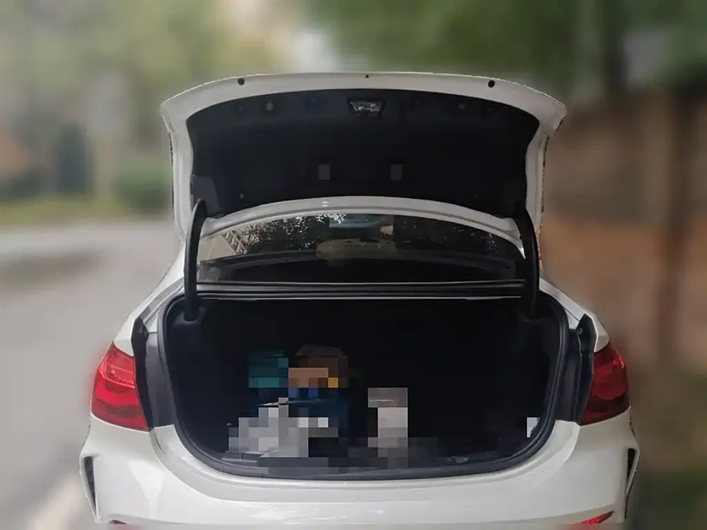 [object Object] 1 Series 2021 из CN, фото 10