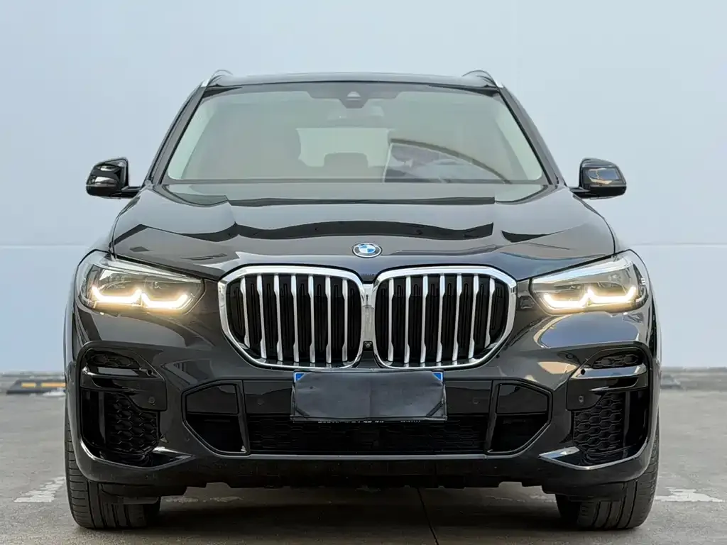BMW X5 (Import) 2022 из CN, фото 1