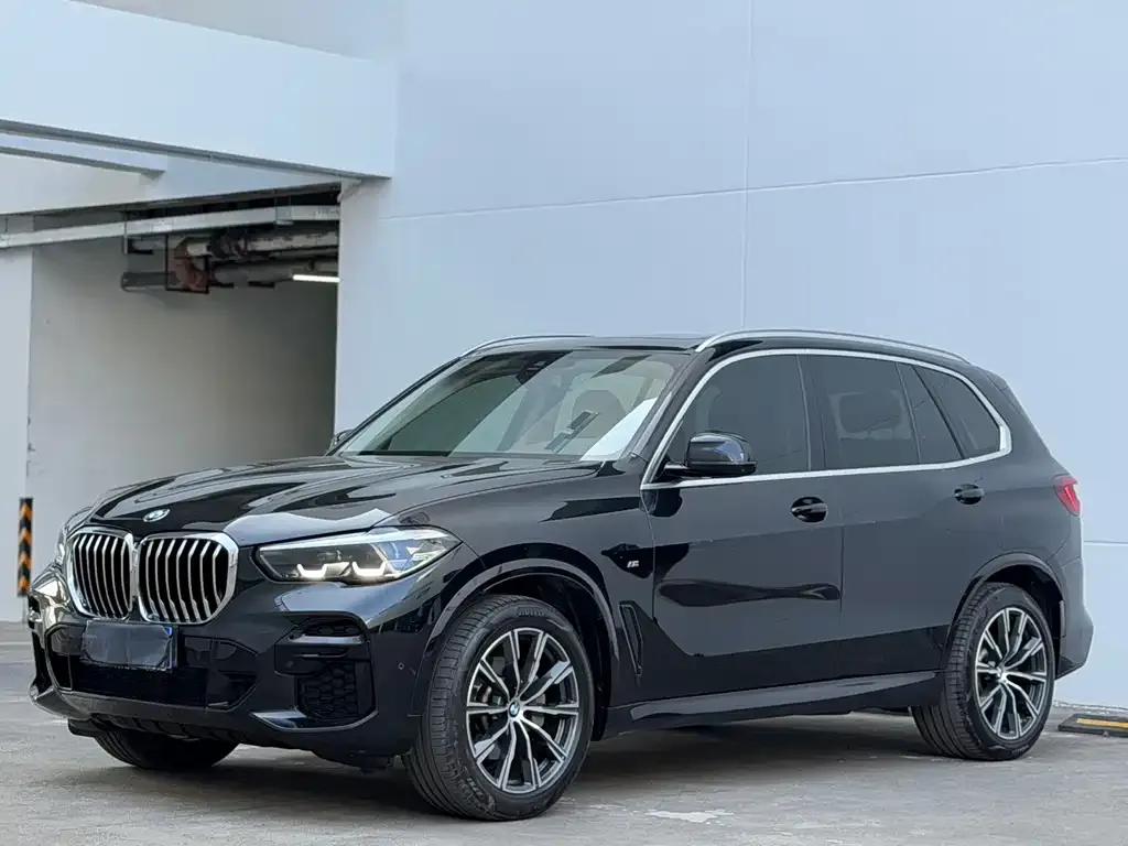 BMW X5 (Import) 2022 из CN, фото 9