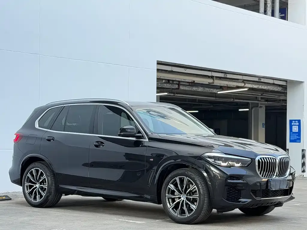 BMW X5 (Import) 2022 из CN, фото 4