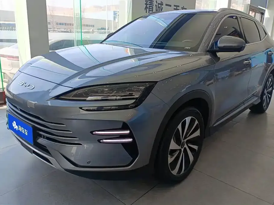 BYD PLUS New Energy 2024 из CN, фото 1