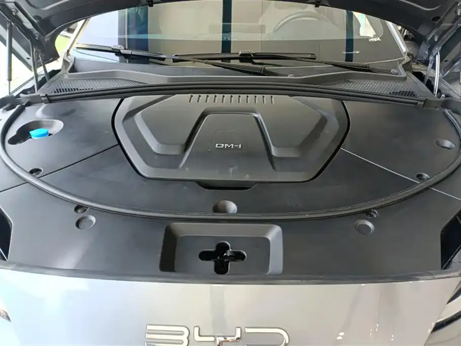 BYD PLUS New Energy 2024 из CN, фото 10