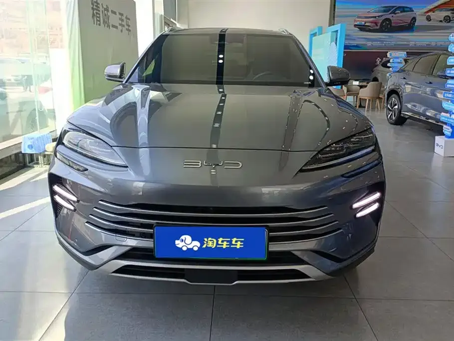 BYD PLUS New Energy 2024 из CN, фото 2