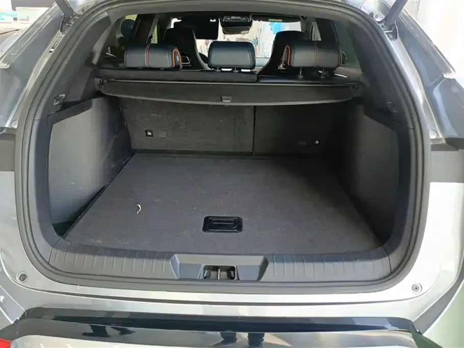 BYD PLUS New Energy 2024 из CN, фото 4