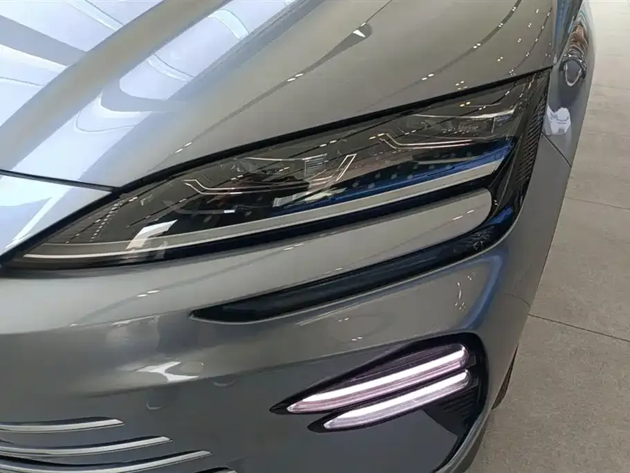 BYD PLUS New Energy 2024 из CN, фото 5