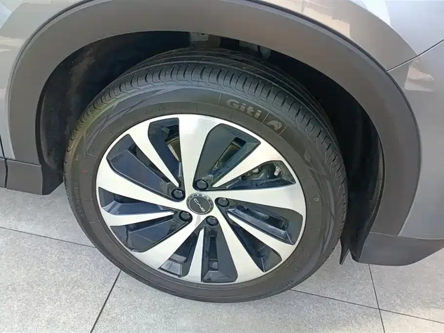 BYD PLUS New Energy 2024 из CN, фото 6