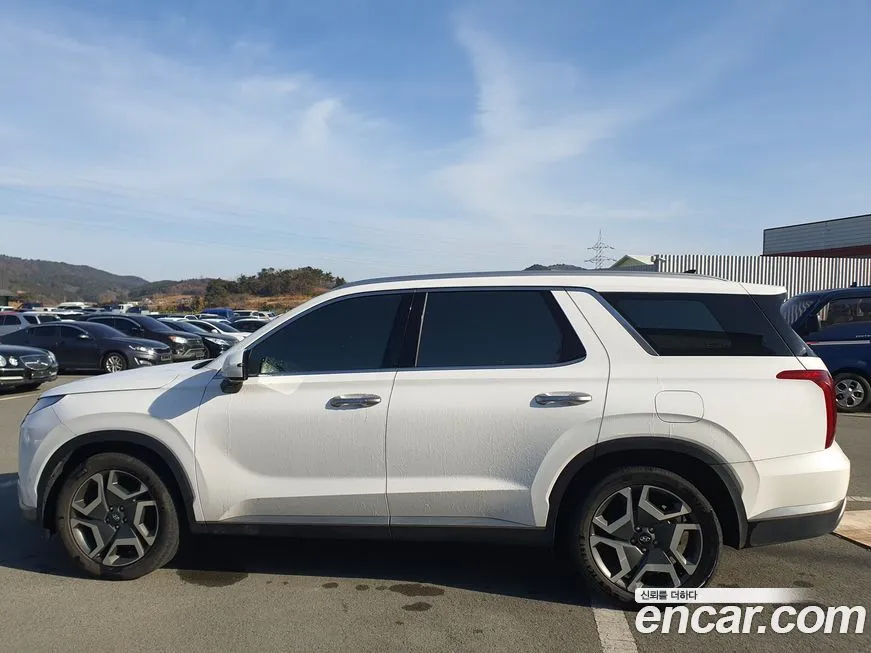 Hyundai Palisade — фото 8