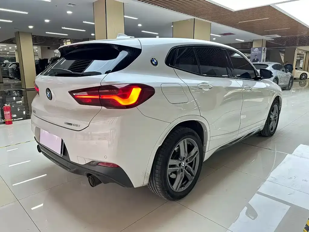 BMW X2 2023 из CN, фото 5