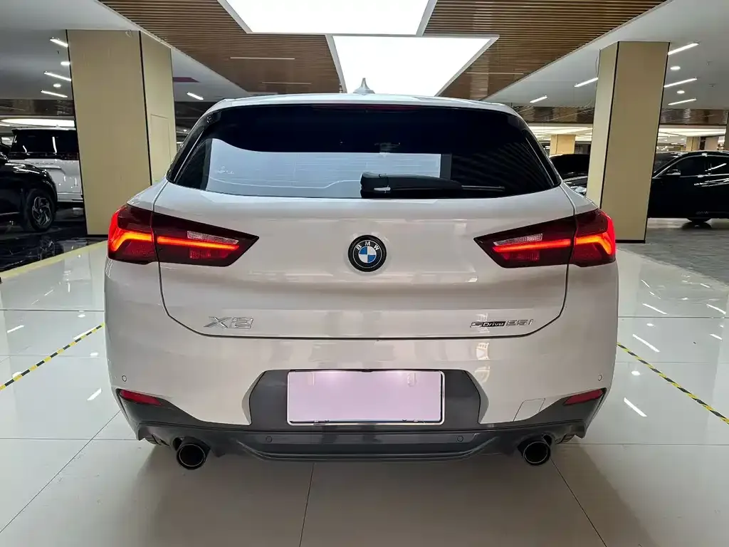 BMW X2 2023 из CN, фото 6
