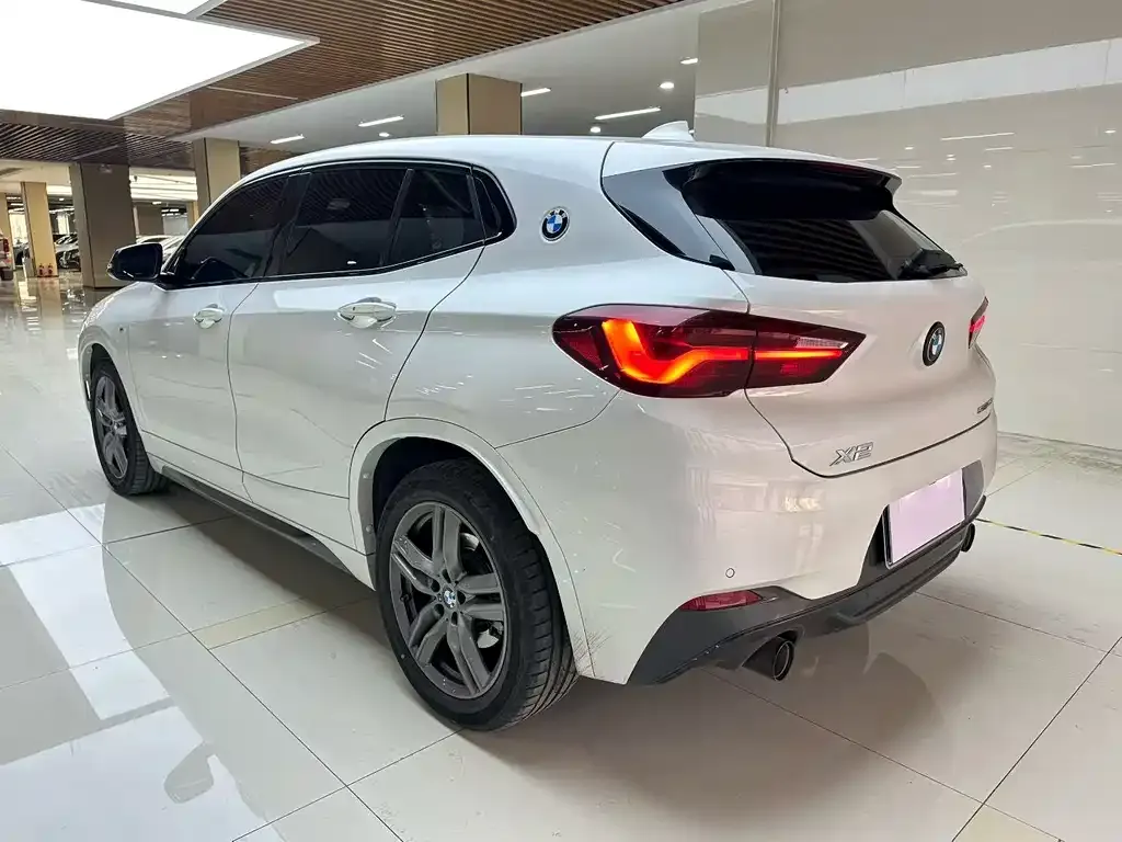 BMW X2 2023 из CN, фото 7