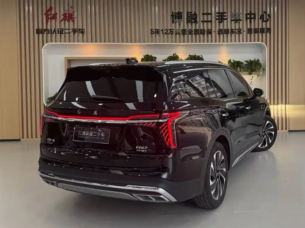 Hongqi HS7 PHEV 2024 из CN, фото 8
