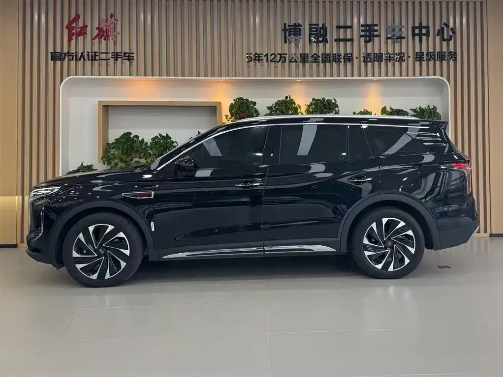 Hongqi HS7 PHEV 2024 из CN, фото 10