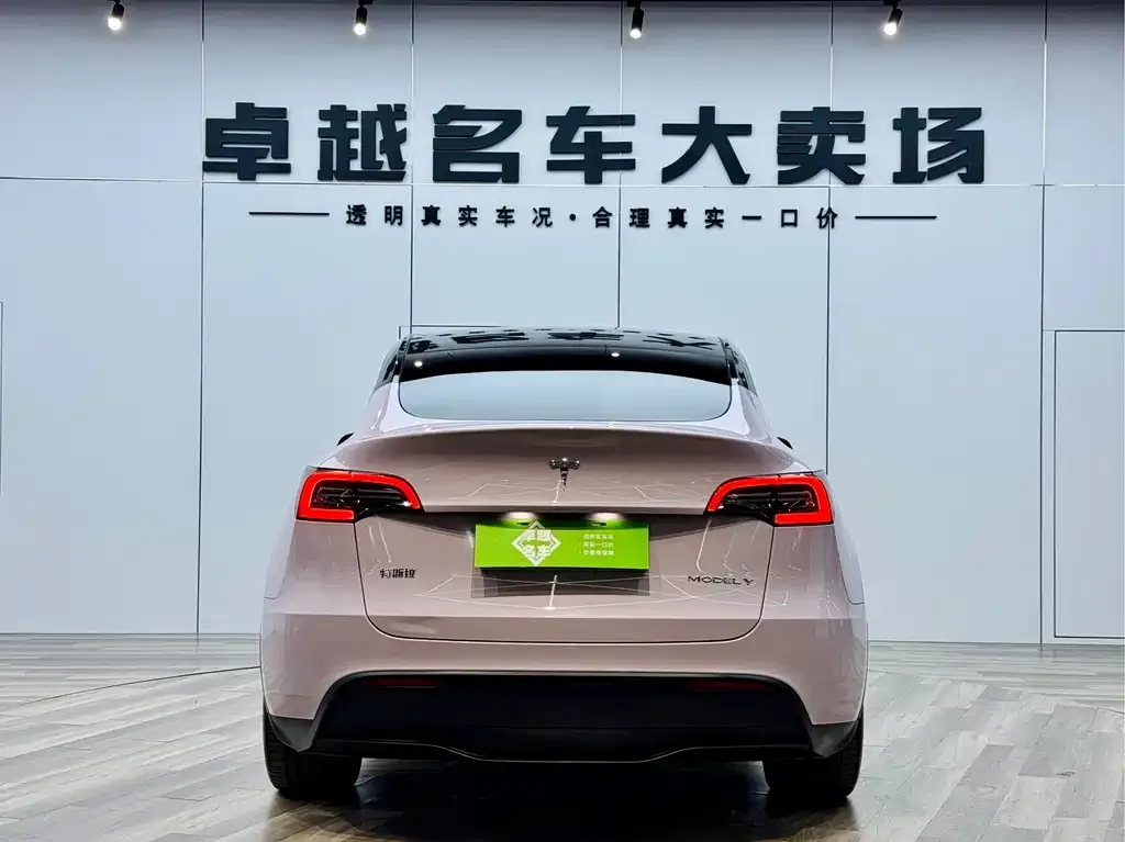 Tesla Model Y — фото 2
