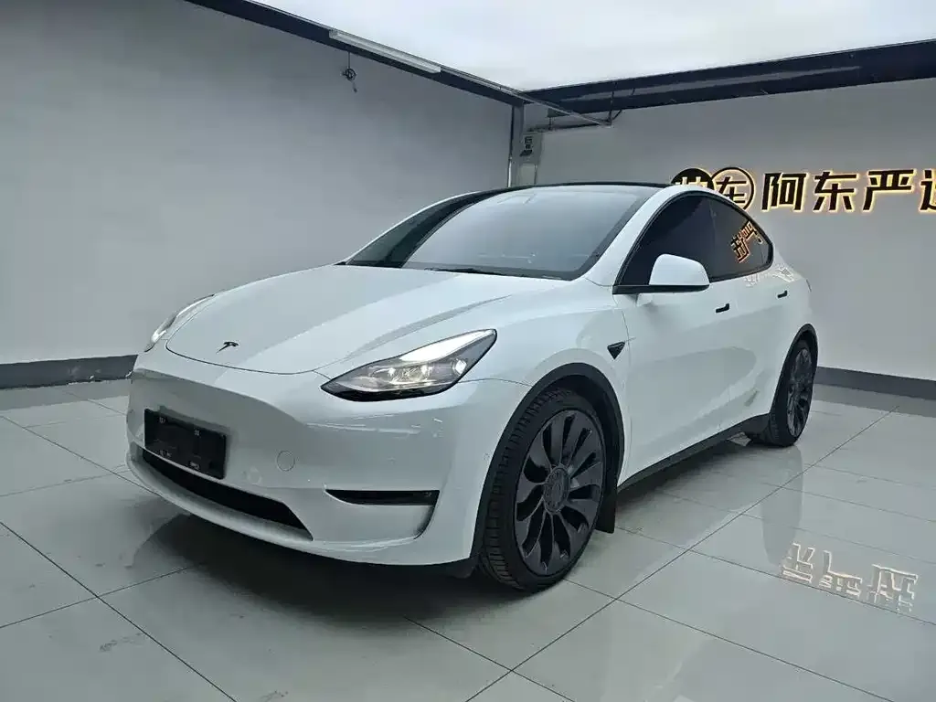 Tesla Model Y — фото 1