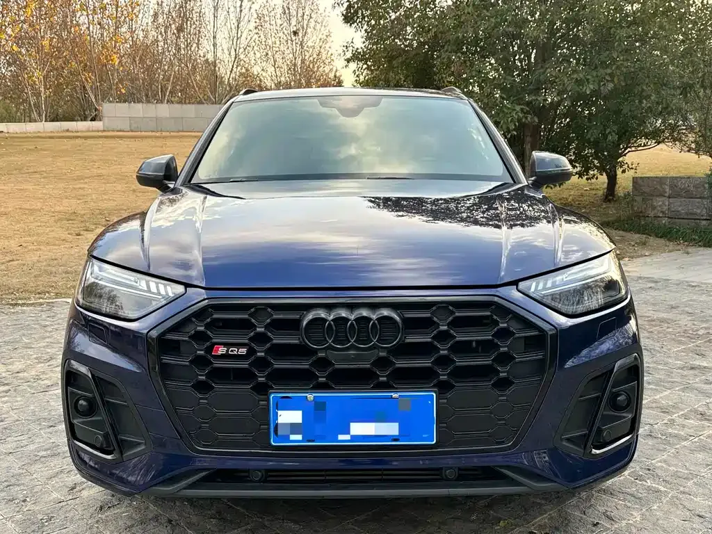 Audi SQ5 2021 из CN, фото 8
