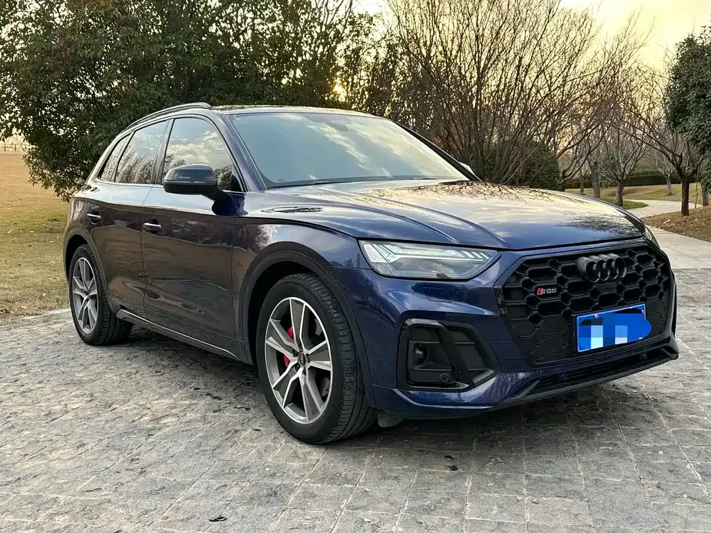 Audi SQ5 2021 из CN, фото 9