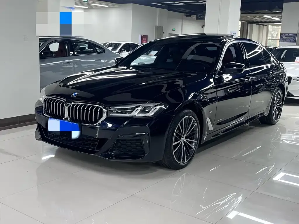 BMW 5 Series 2022 из CN, фото 1