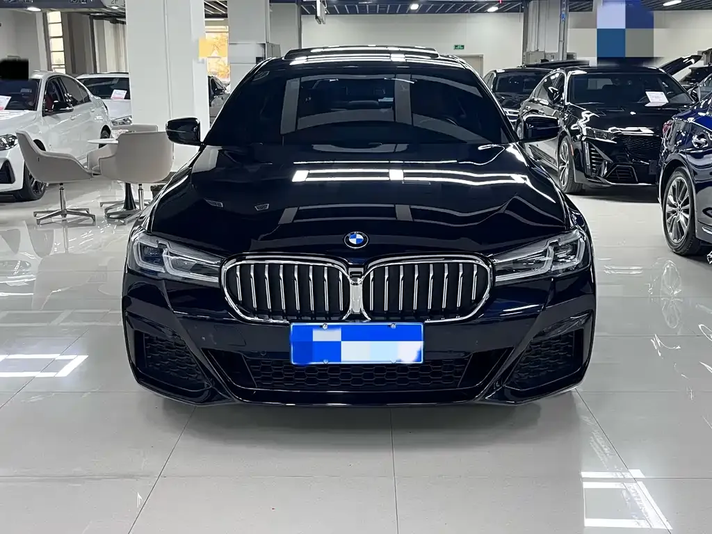BMW 5 Series 2022 из CN, фото 3