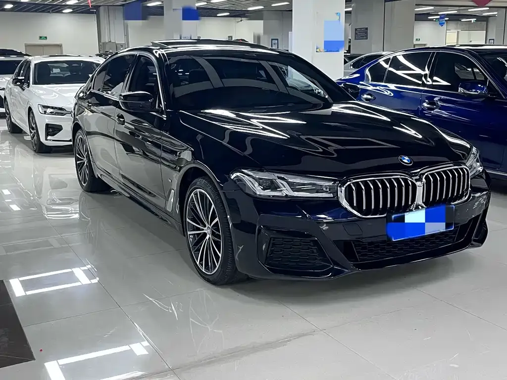 BMW 5 Series 2022 из CN, фото 8