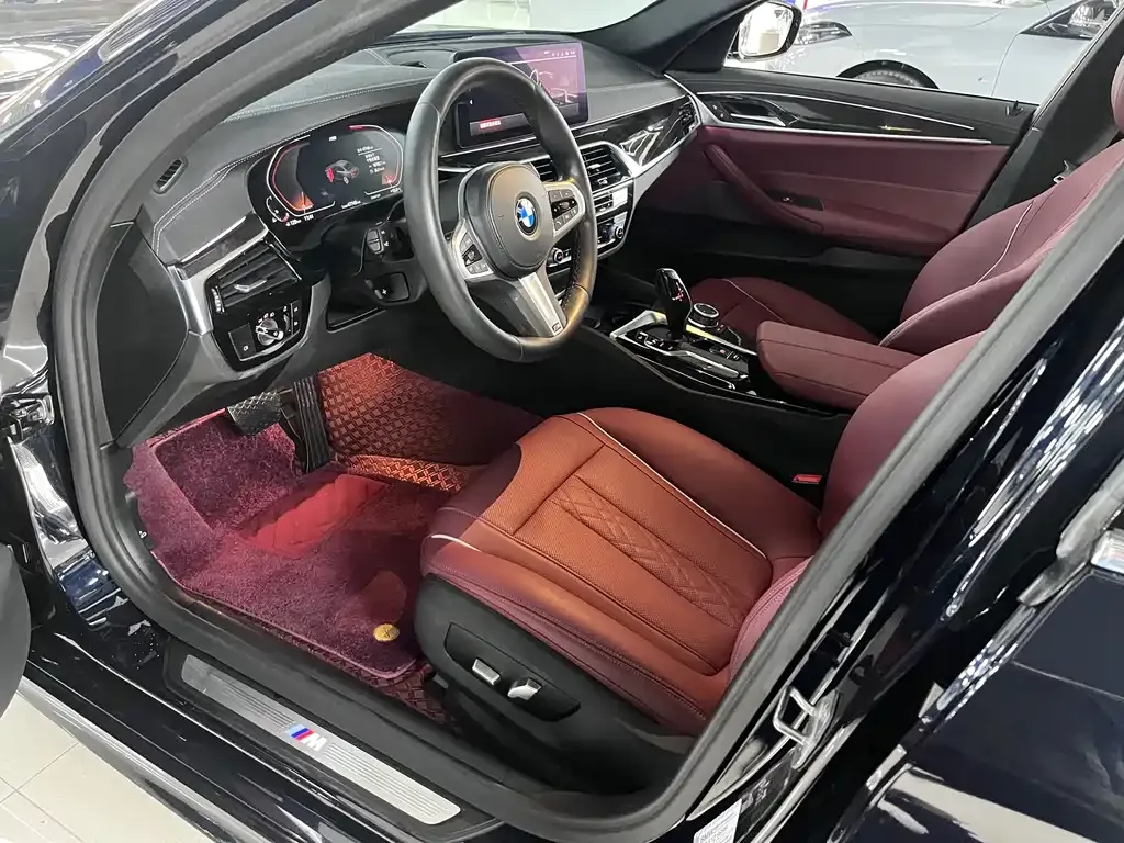 BMW 5 Series 2022 из CN, фото 9