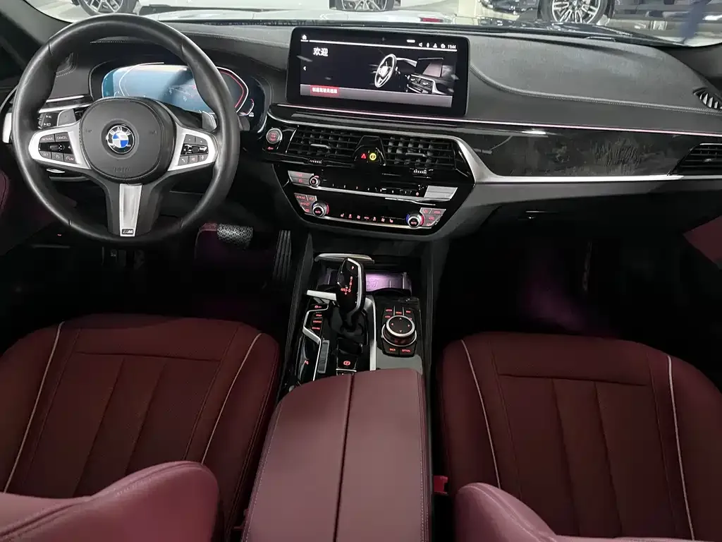 BMW 5 Series 2022 из CN, фото 4
