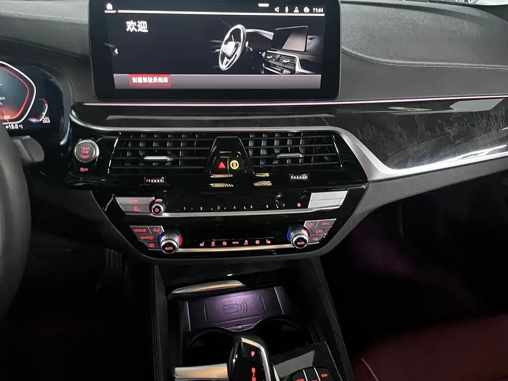 BMW 5 Series 2022 из CN, фото 7